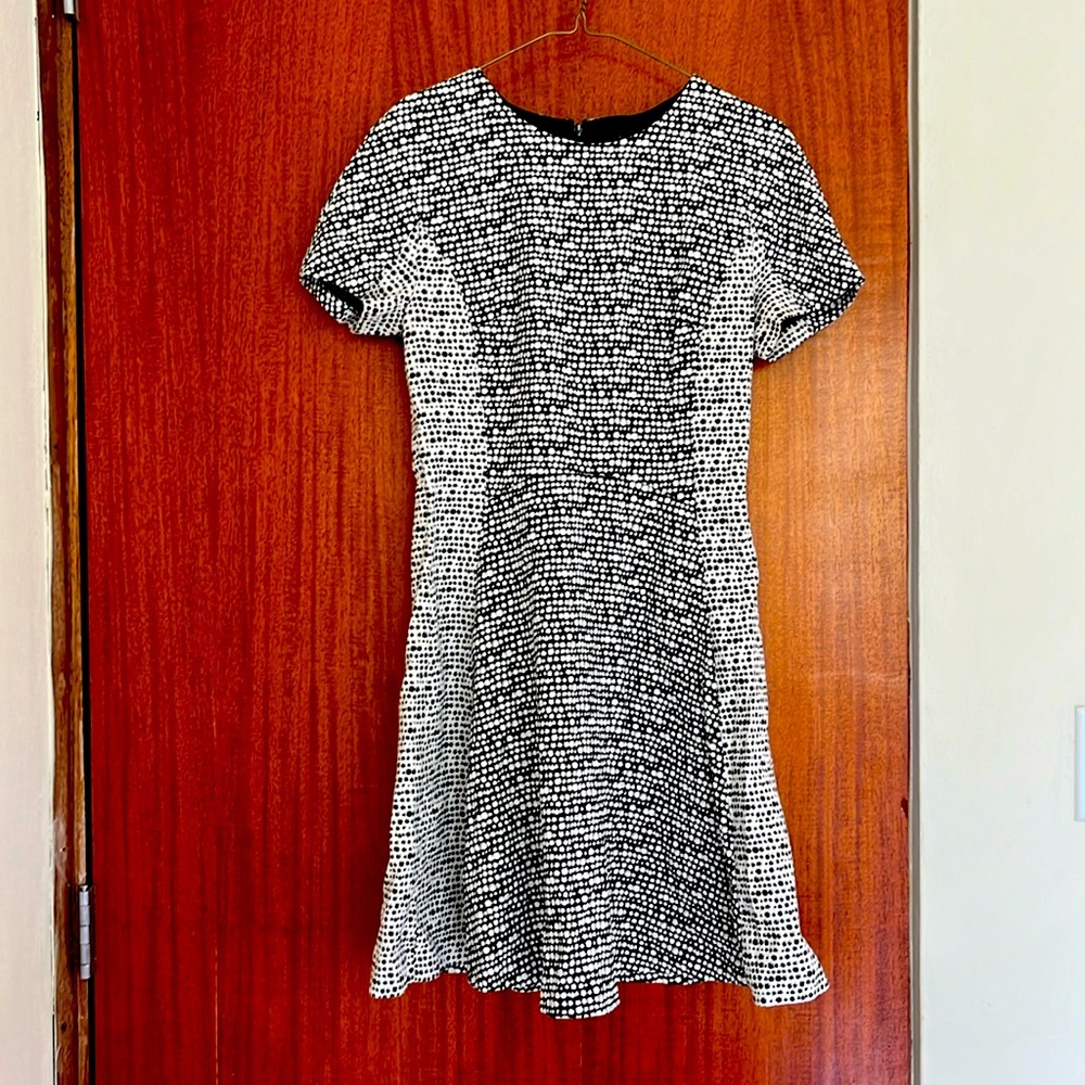 Banana Republic Black-and-White Short Sleeve Skater Skirt Dress